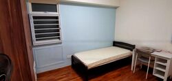 Blk 265A The Coris (Sengkang), HDB 4 Rooms #476932711